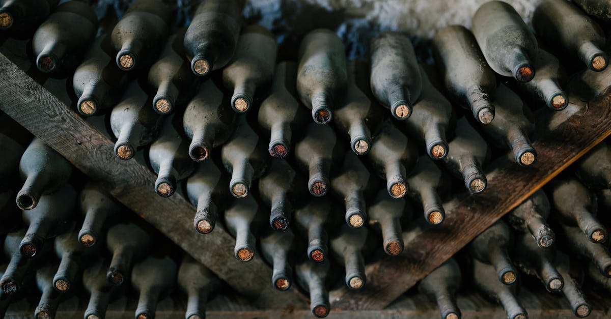 découvrez les caractéristiques uniques du pinot noir, un cépage élégant apprécié pour ses arômes fruités et sa finesse en bouche, idéal pour les amateurs de vins raffinés.