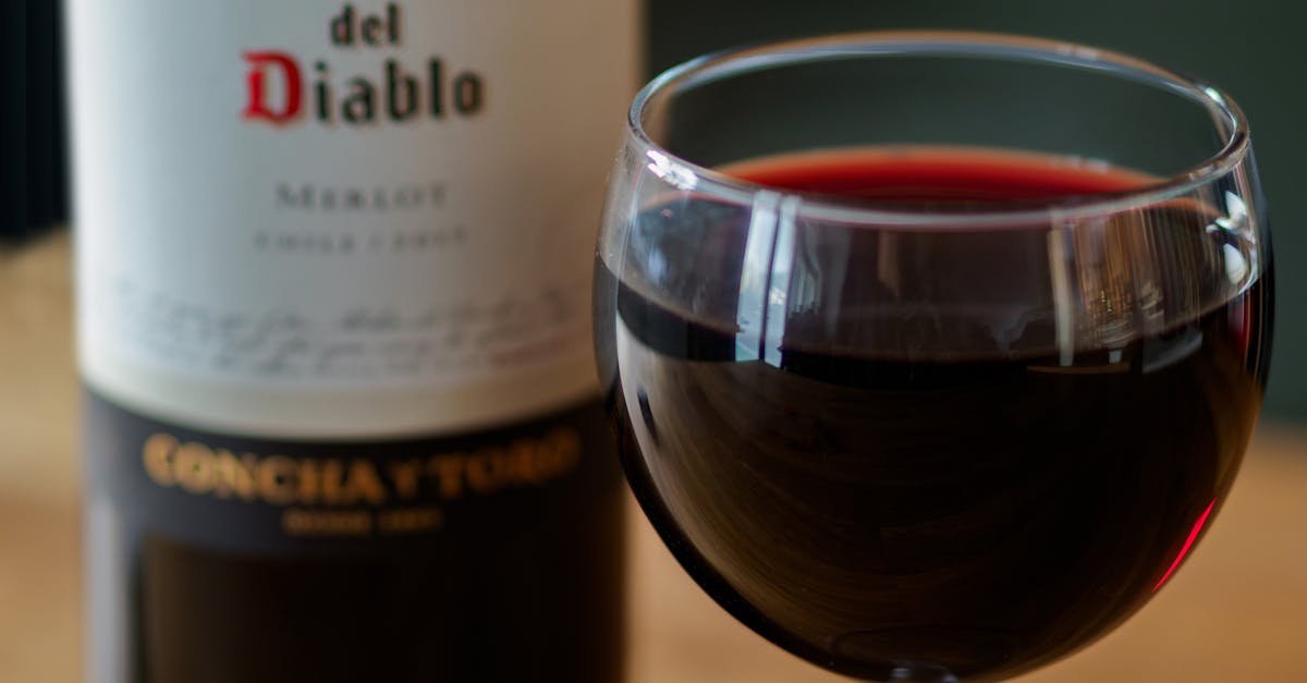 découvrez notre sélection de vins rouges raffinés, idéals pour accompagner vos repas et éveiller vos papilles avec des arômes riches et complexes.