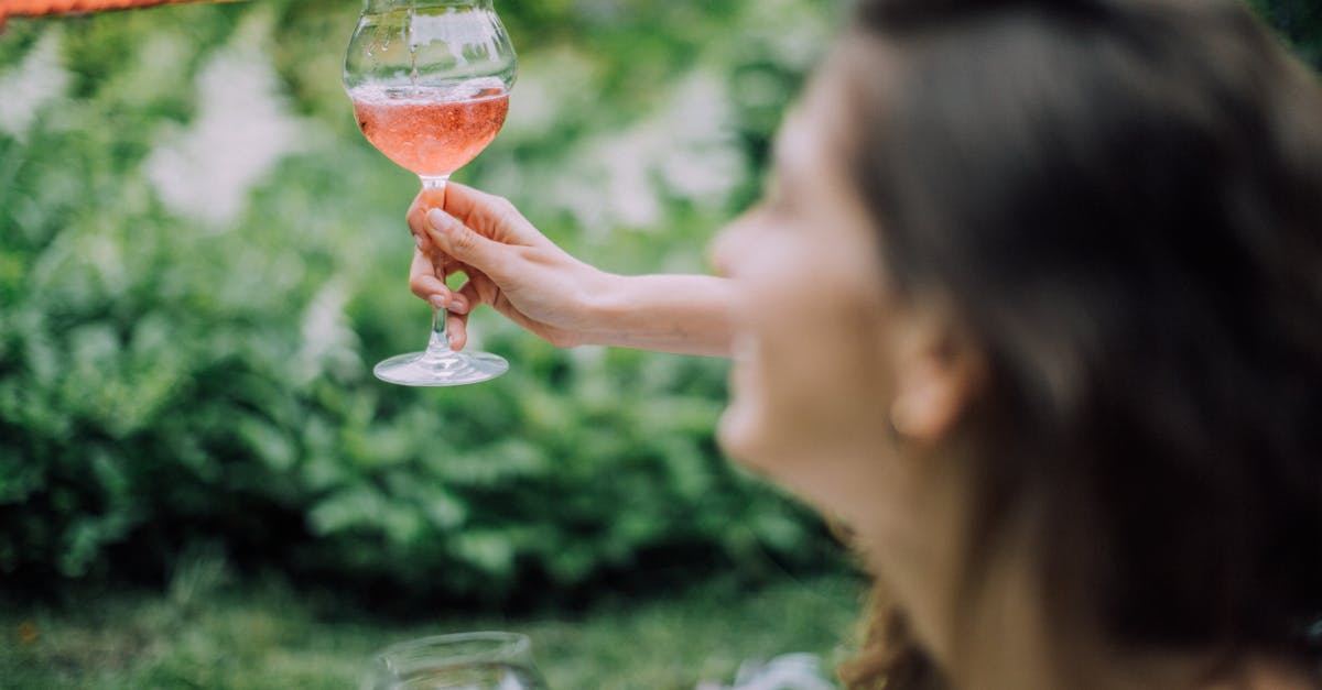 découvrez notre sélection raffinée de vins rosés, parfaits pour toutes les occasions. appréciez la fraîcheur et les arômes fruités de nos meilleurs crus rosés.