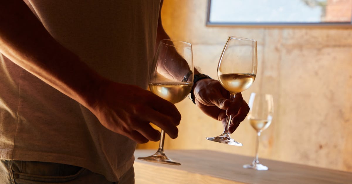 découvrez tout sur le sauvignon blanc, ce cépage blanc emblématique aux arômes frais et fruités, parfait pour accompagner vos repas et moments de dégustation.