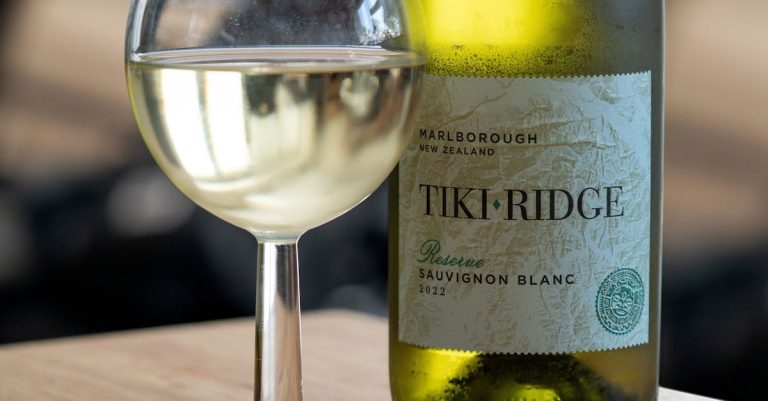 découvrez le sauvignon blanc, un vin blanc frais et aromatique, idéal pour accompagner fruits de mer et plats légers. parfait pour vos moments de dégustation.