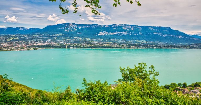 découvrez les vins de savoie, des crus authentiques aux saveurs uniques issus des vignobles alpins, parfaits pour accompagner vos repas.