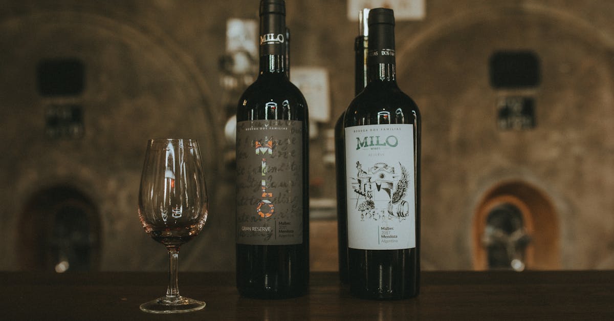 découvrez les vins tanniques, riches en saveurs et en structure, parfaits pour les amateurs de dégustations intenses et complexes.
