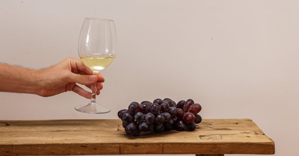 découvrez tout sur les tanins : leurs caractéristiques, leur rôle dans le goût des vins et des thés, ainsi que leurs bienfaits pour la santé.