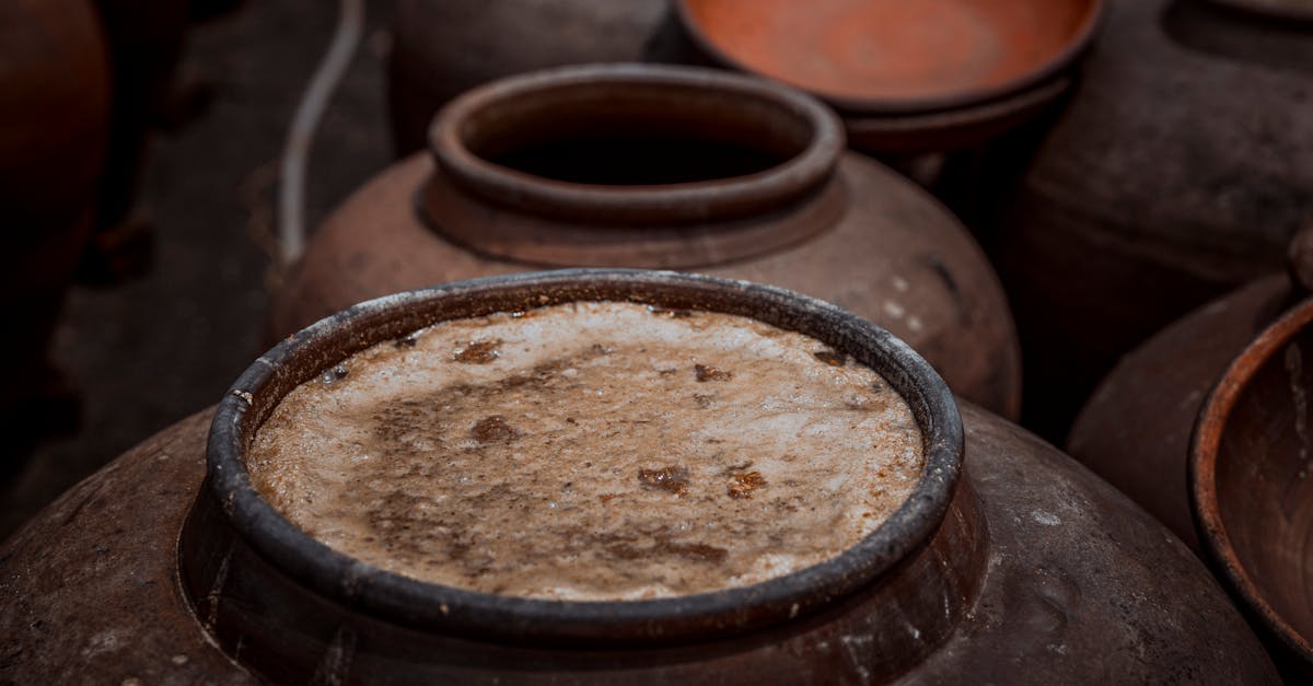 découvrez tout sur les tanins, ces composés naturellement présents dans de nombreux végétaux, essentiels pour le goût et la conservation du vin, du thé et bien plus.