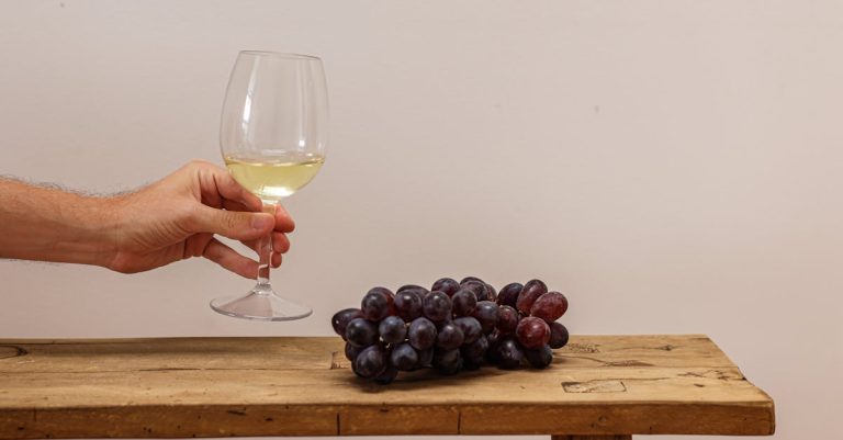 découvrez tout sur les tanins : leurs caractéristiques, leur rôle dans le goût des vins et des thés, ainsi que leurs bienfaits pour la santé.