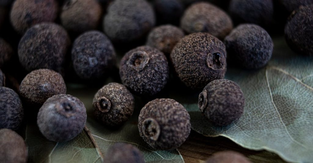 découvrez tout sur les tanins : leur rôle, leurs effets dans les aliments et les boissons, et comment ils influencent la saveur et la santé.