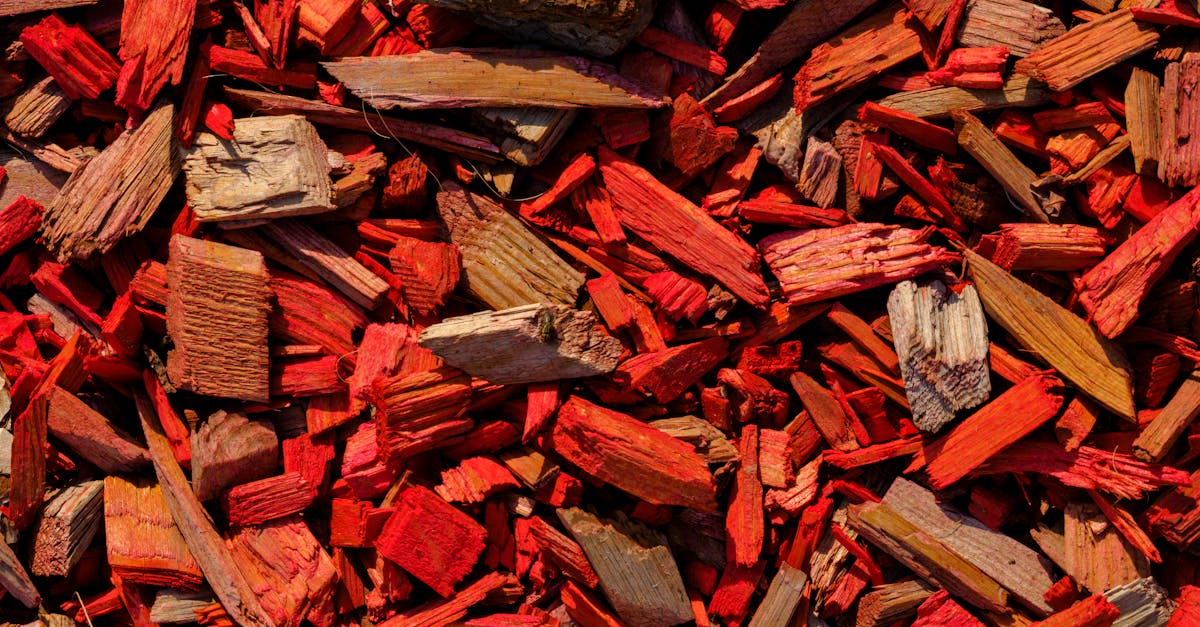 découvrez tout sur les tannins : leurs effets, leurs rôles dans les aliments et les boissons, et leur influence sur la saveur et la santé.
