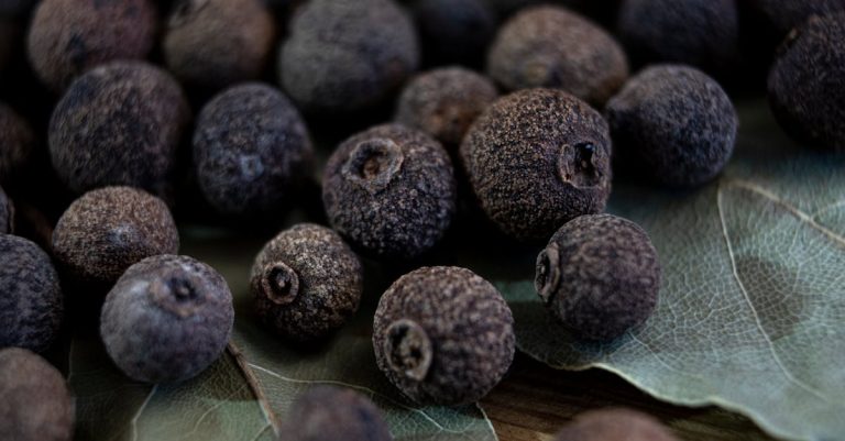 découvrez tout sur les tanins : leur rôle, leurs effets dans les aliments et les boissons, et comment ils influencent la saveur et la santé.