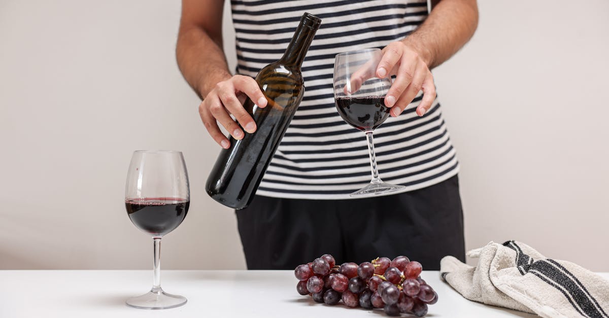 découvrez notre sélection de vins végétariens, élaborés sans utilisation de produits d'origine animale, pour un plaisir authentique et respectueux de vos valeurs.