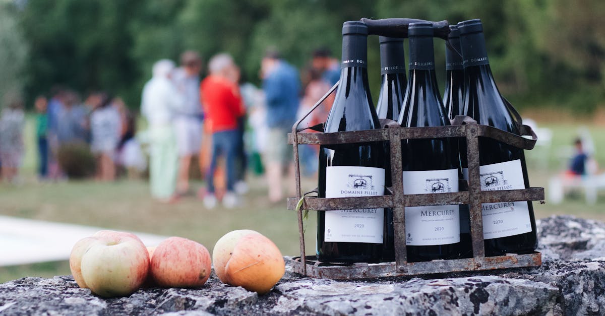 découvrez les vins du ventoux, réputés pour leur richesse aromatique et leur qualité exceptionnelle, issus des vignobles ensoleillés du sud de la france.