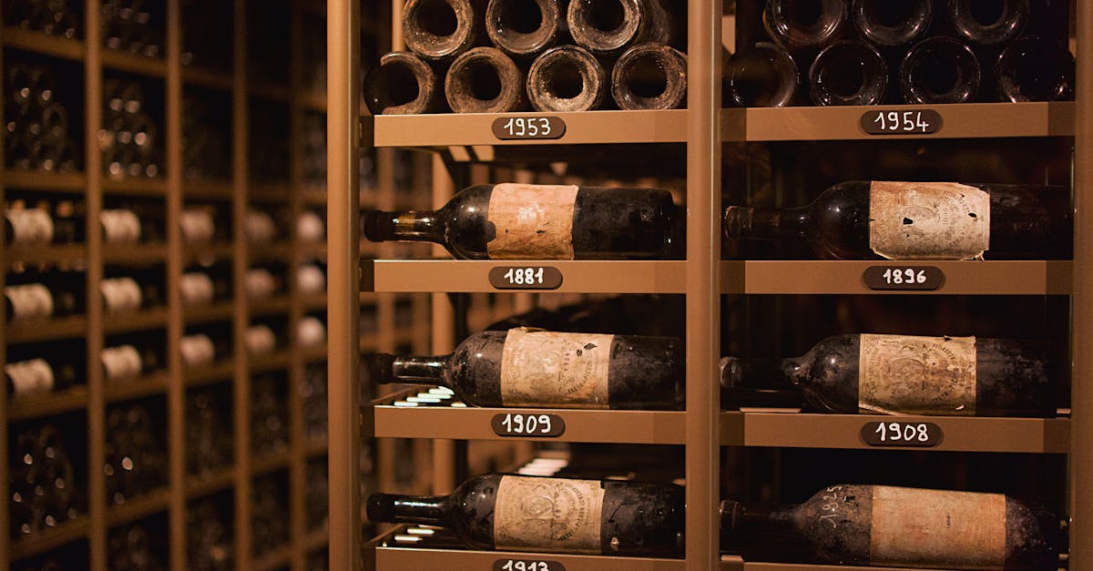 découvrez les vins du ventoux, une région viticole renommée pour ses saveurs authentiques et son terroir unique. dégustez des crus d'exception alliant tradition et caractère.