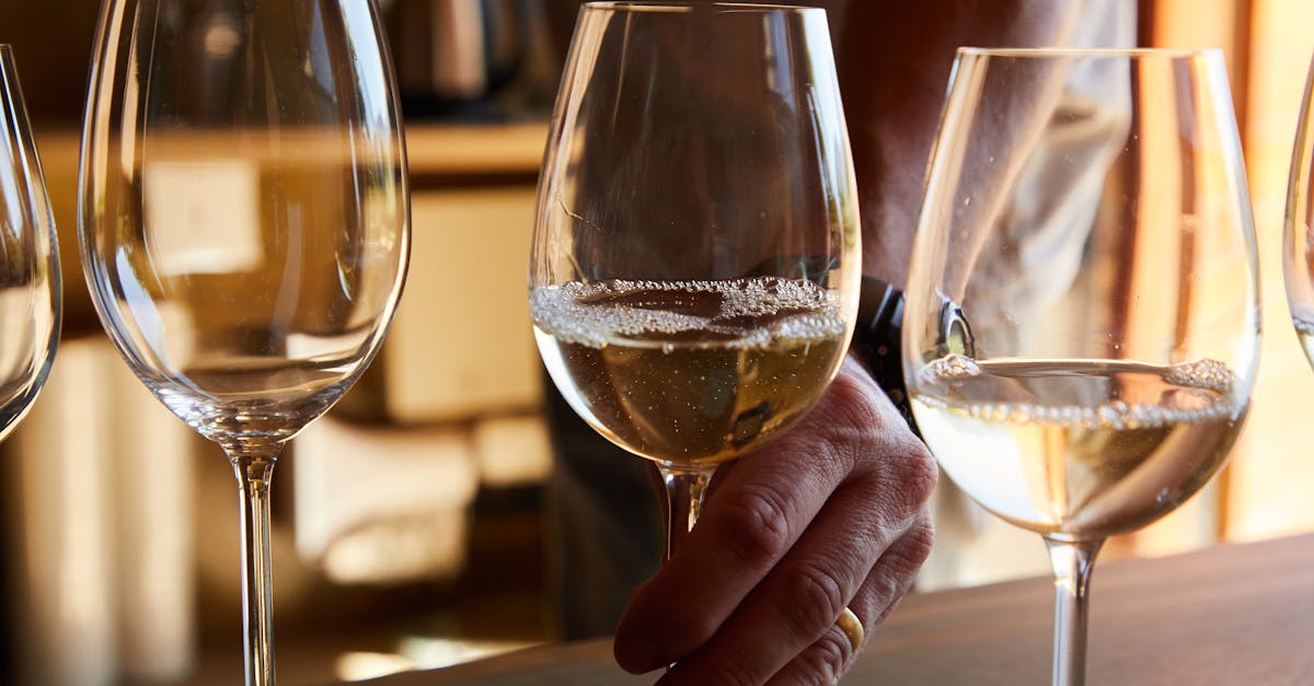 découvrez notre sélection de vins blancs raffinés, parfaits pour accompagner vos repas et célébrations avec fraîcheur et élégance.