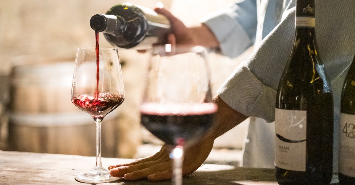 découvrez notre carafe à vin élégante, conçue pour sublimer l'arôme et la saveur de vos meilleurs crus.