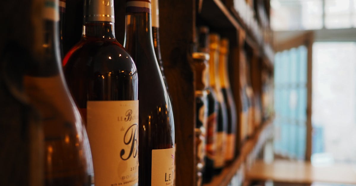 découvrez le wine plan de dieu, un vin d'exception alliant saveurs riches et terroir authentique de la vallée du rhône. parfait pour accompagner vos repas et moments de convivialité.