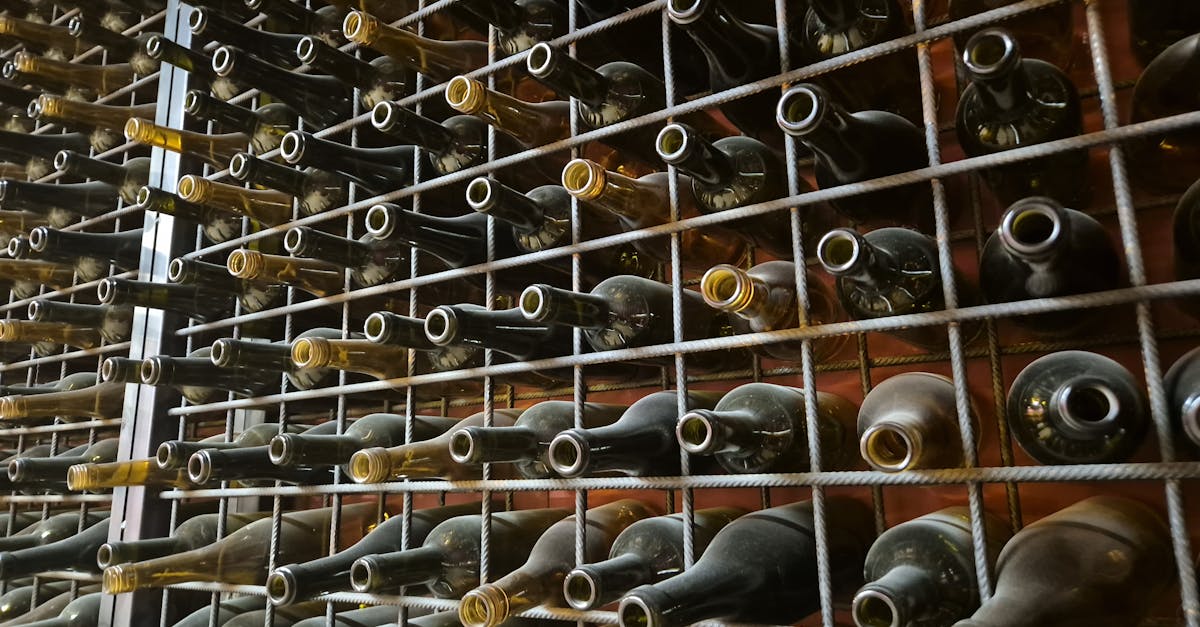 solutions de stockage pour le vin : conservez vos bouteilles dans des conditions idéales pour préserver leur qualité et leur saveur.