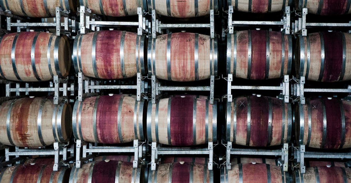 découvrez nos solutions de stockage du vin pour conserver vos bouteilles à la température idéale et préserver leurs arômes. optimisez votre cave à vin avec nos conseils et équipements spécialisés.