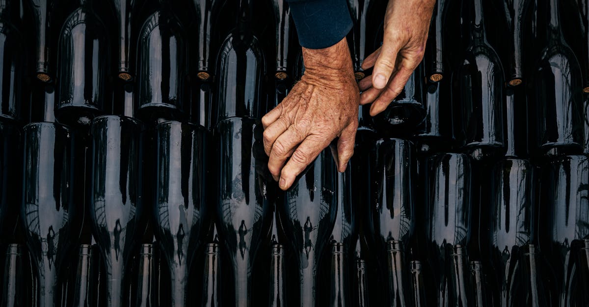 découvrez l'art des vignerons passionnés, leur savoir-faire unique et leurs vins d'exception.