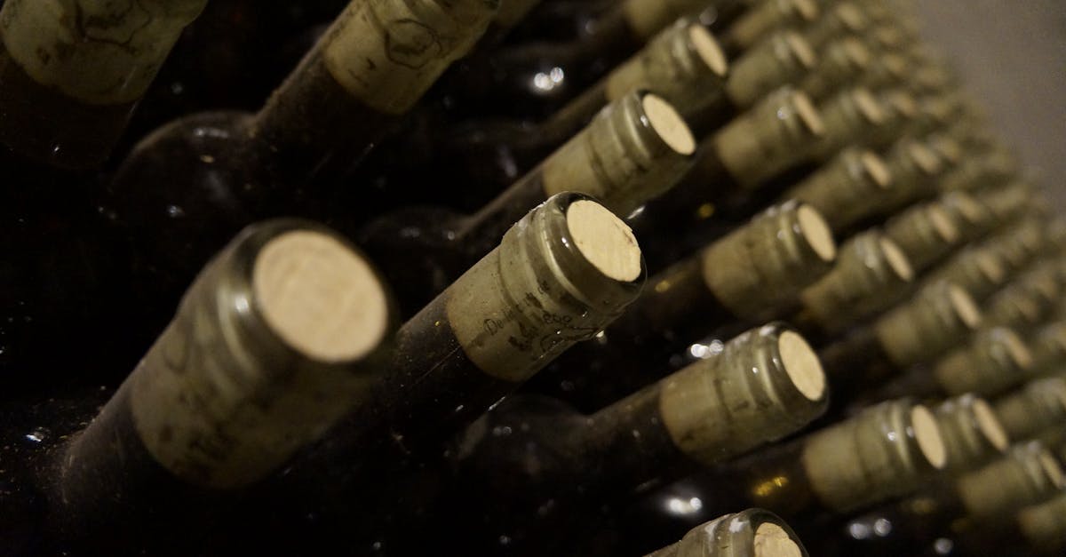 découvrez l'univers des winemakers, les artisans passionnés qui créent des vins d'exception alliant savoir-faire traditionnel et innovation.