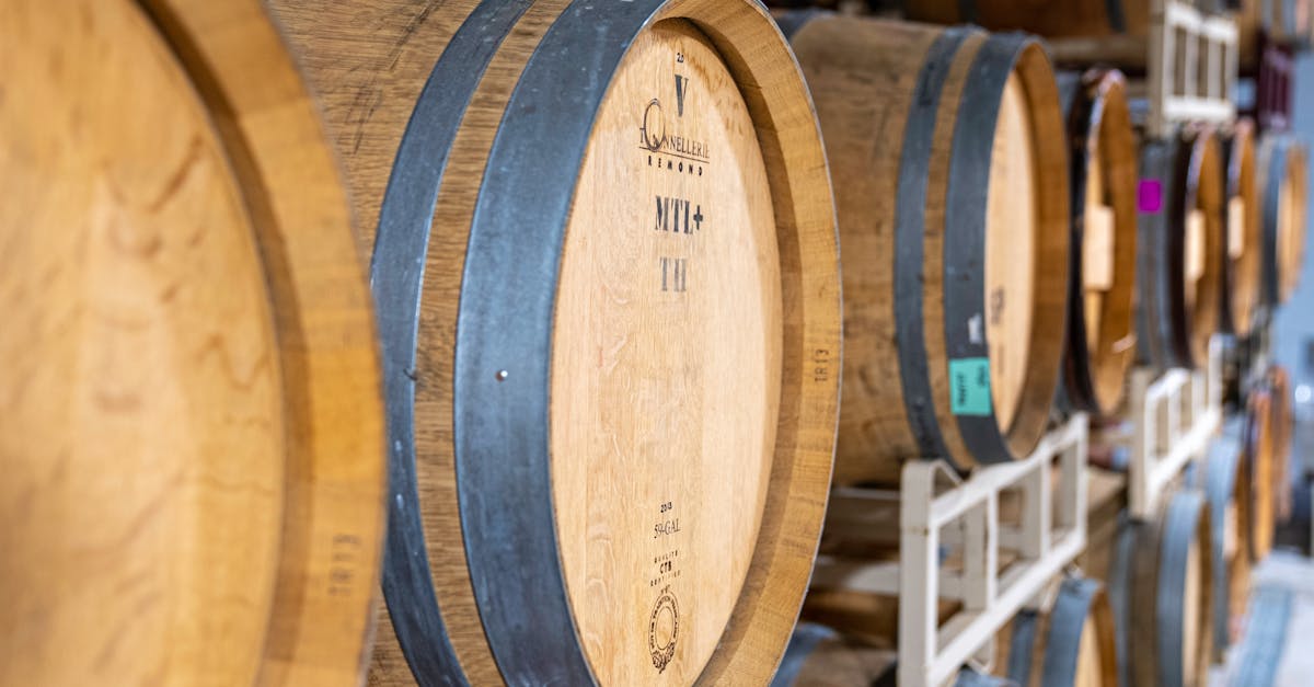 découvrez notre winery, un domaine viticole d'exception où tradition et passion se rencontrent pour vous offrir des vins authentiques et raffinés.