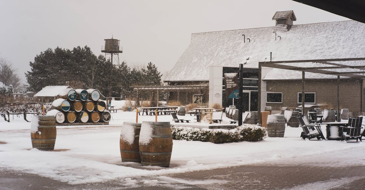 découvrez notre winery, un lieu où tradition et passion se rencontrent pour produire des vins d'exception. explorez nos vignobles, dégustez nos cuvées uniques et vivez une expérience vinicole incomparable.