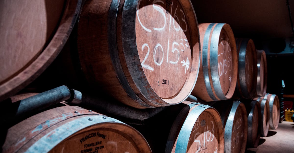 découvrez notre winery, où tradition et passion se rencontrent pour créer des vins d'exception. explorez nos vignobles, dégustez nos crus uniques et vivez une expérience œnologique inoubliable.