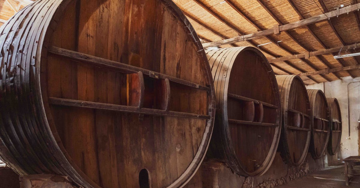 découvrez notre winery, un lieu où l'art de la vinification rencontre la tradition pour vous offrir des vins d'exception. explorez nos vignobles, dégustez nos crus et vivez une expérience œnologique unique.