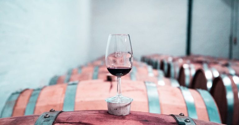 découvrez notre winery, où tradition et passion se rencontrent pour vous offrir des vins d'exception.