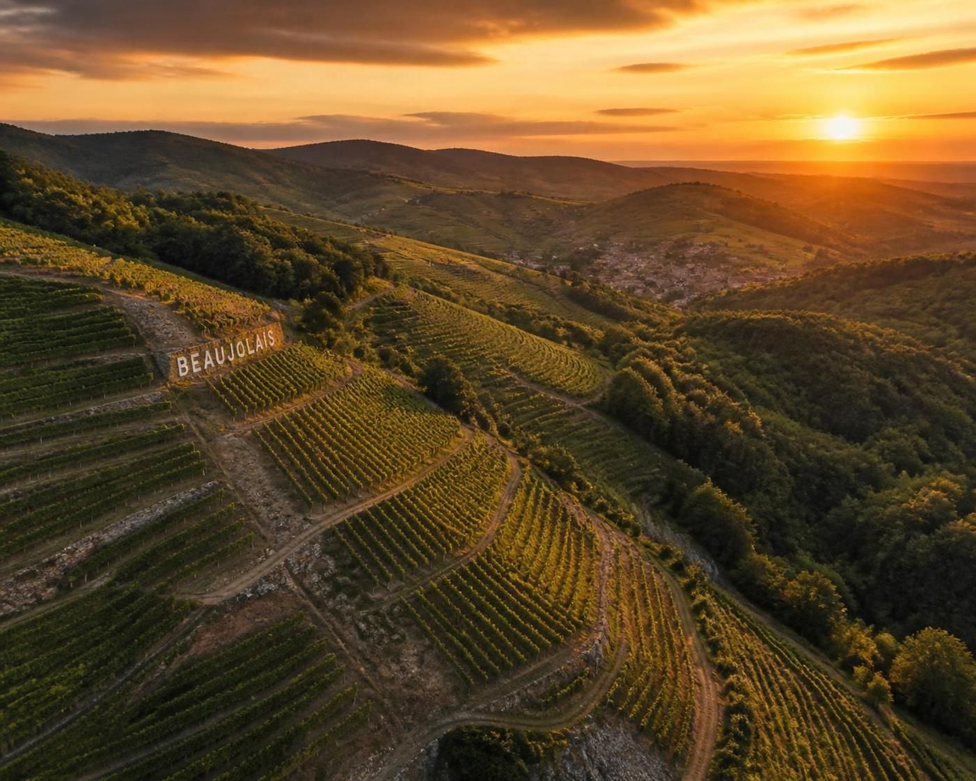 découvrez tout sur les crus du beaujolais et leurs spécificités uniques : terroirs, cépages, dégustation et conseils pour choisir votre vin idéal.