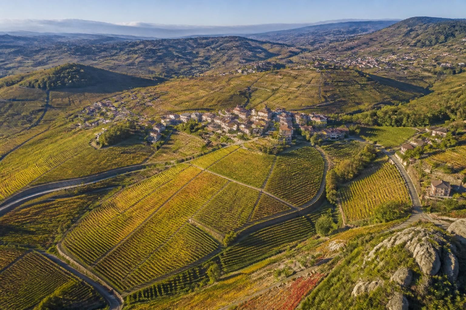 découvrez tout sur les crus du beaujolais, leurs caractéristiques uniques et ce qui les rend incontournables dans le monde du vin.