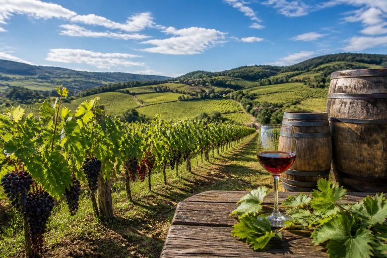 découvrez tout sur les crus du beaujolais, leurs caractéristiques uniques, et les secrets qui font la renommée de ces vins d'exception.