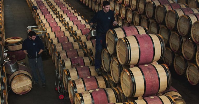 découvrez les vins faugère, une sélection raffinée de vins du languedoc alliant tradition et caractère pour les amateurs de vins d'exception.