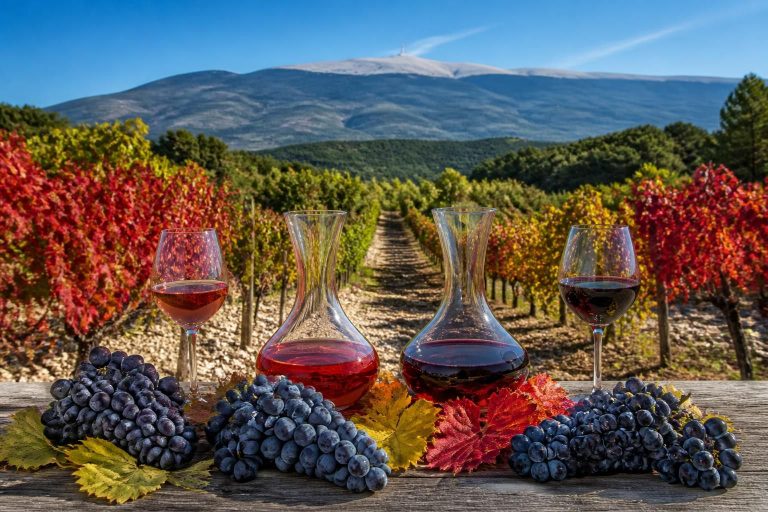 découvrez tout sur le vin ventoux : son terroir unique, les cépages caractéristiques et des conseils pour bien le déguster.