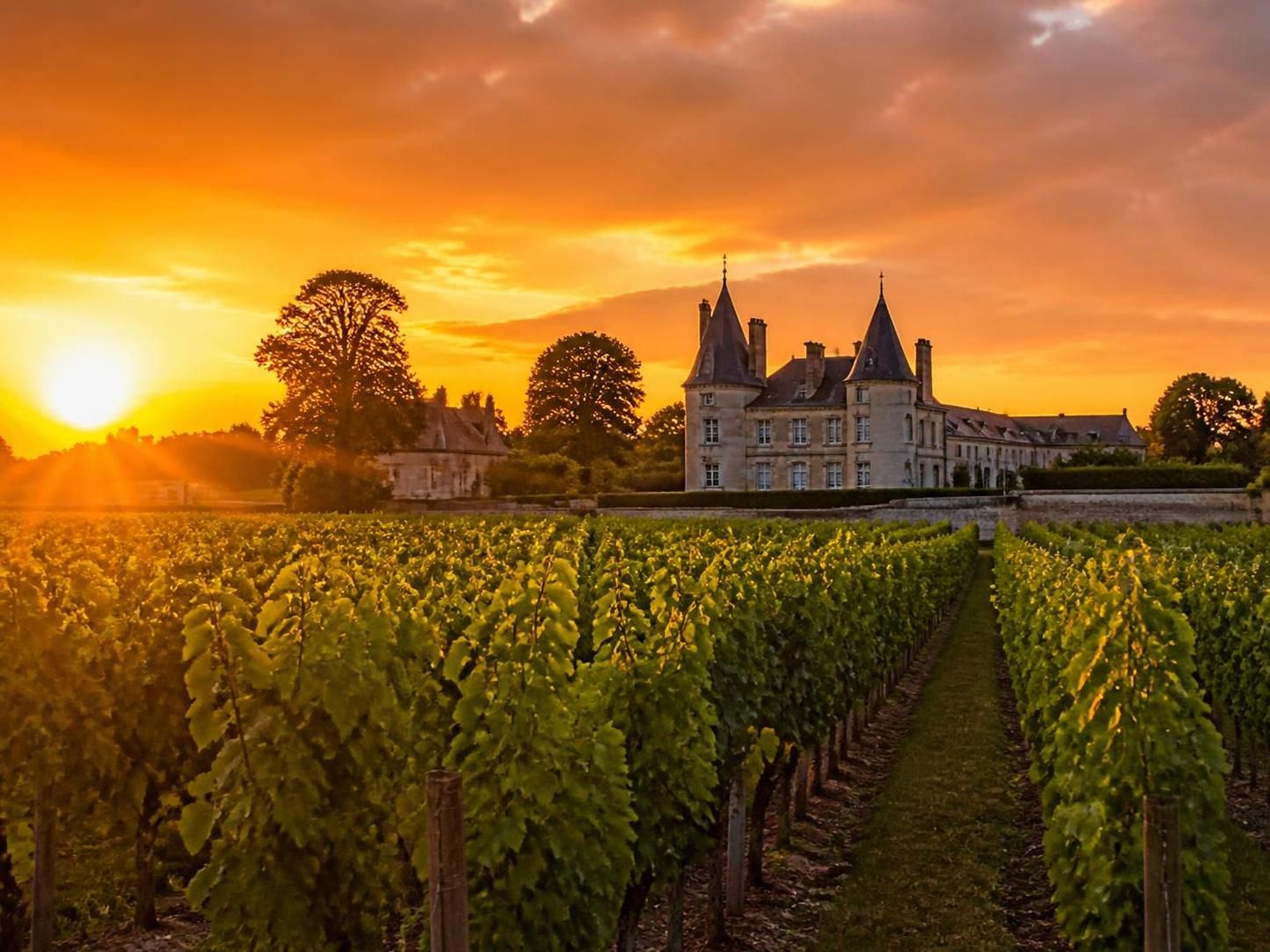 explorez les secrets des vins de bordeaux, découvrez leurs origines, saveurs uniques et conseils de dégustation pour un voyage au cœur des vignobles renommés.