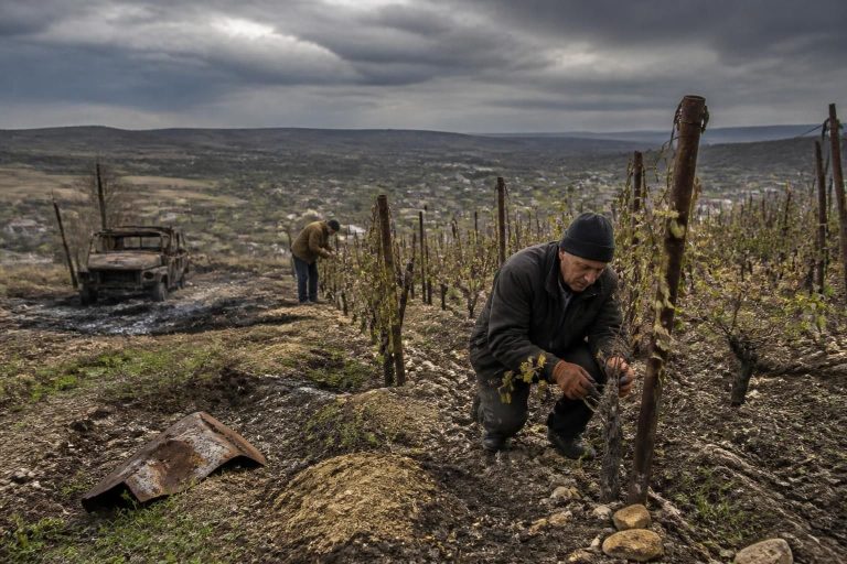 découvrez comment la guerre impacte la viticulture en ukraine, mettant à l'épreuve les vignobles et les producteurs locaux face à des défis sans précédent.